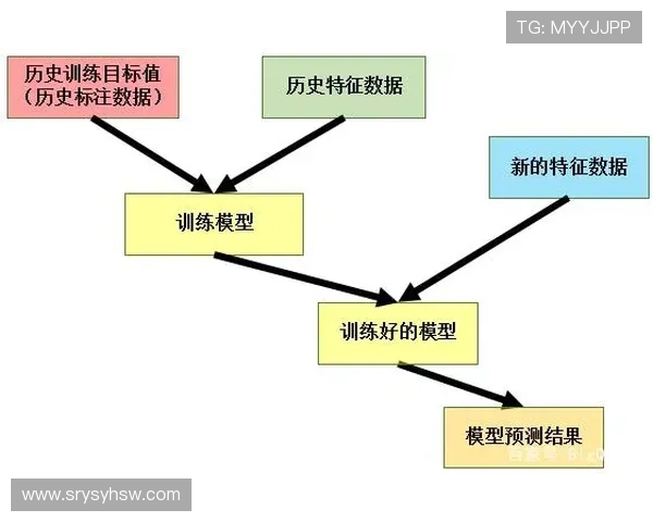 上海羽毛球队耐力表现数据分析及其对训练策略的影响探讨 上海羽毛球队耐力表现数据分析及其对训练策略的影响探讨