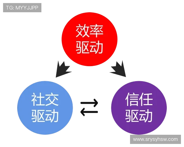 成都篮球队运营分析:成功经验与教训的深度探讨 成都篮球队运营分析:成功经验与教训的深度探讨