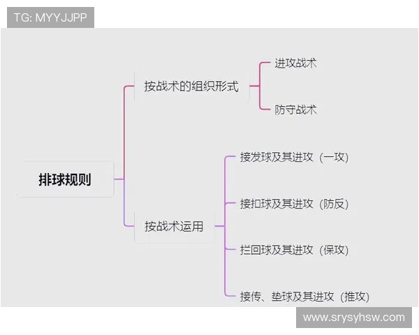 西安排球队的战术变革与未来发展趋势深度解析 西安排球队的战术变革与未来发展趋势深度解析