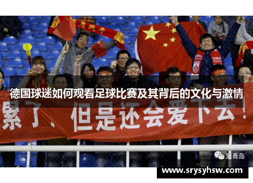 德国球迷如何观看足球比赛及其背后的文化与激情