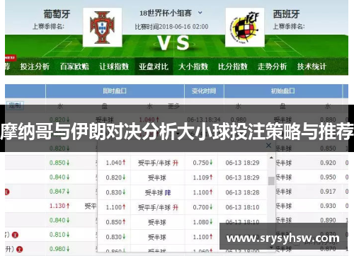 摩纳哥与伊朗对决分析大小球投注策略与推荐