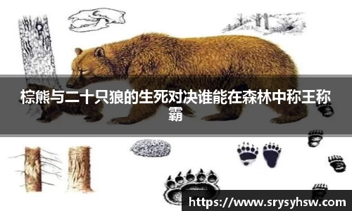 UB8棕熊与二十只狼的生死对决谁能在森林中称王称霸